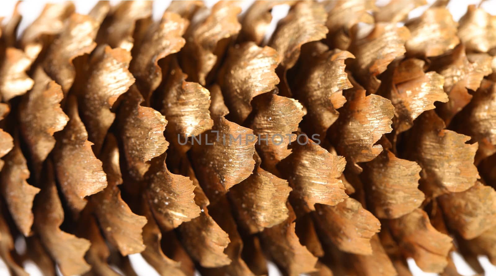 Background of golden large pine cone. Close up.