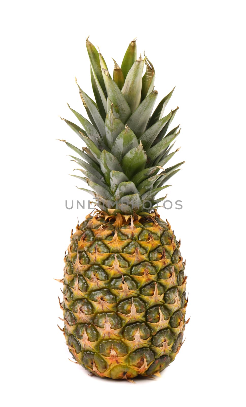Fresh whole pineapple. Isolated on a white background.