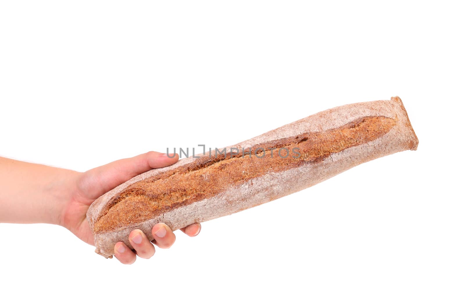 Hand holds long loaf isolated on white background
