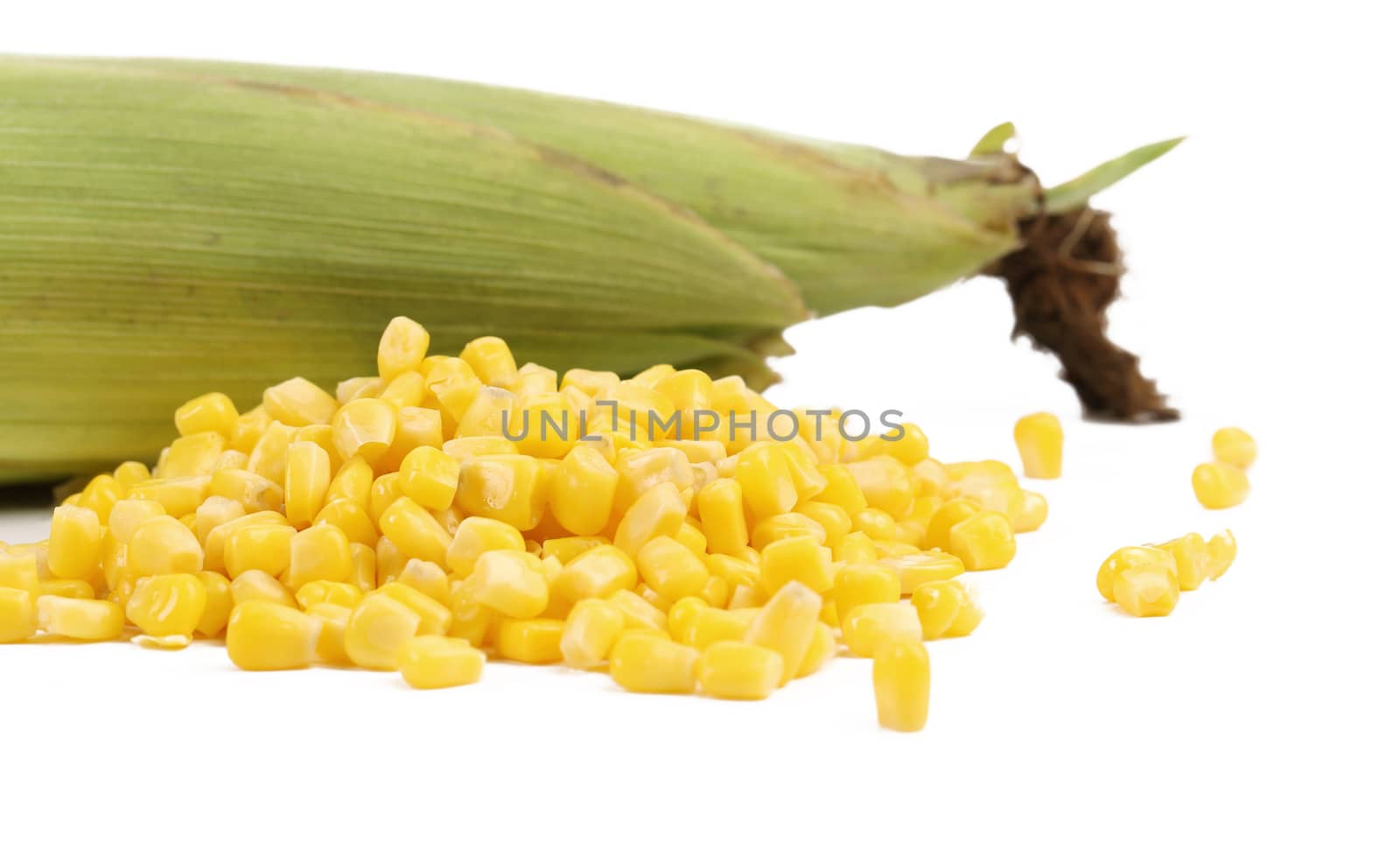 Closed corncob and corn kernels isolated on white background