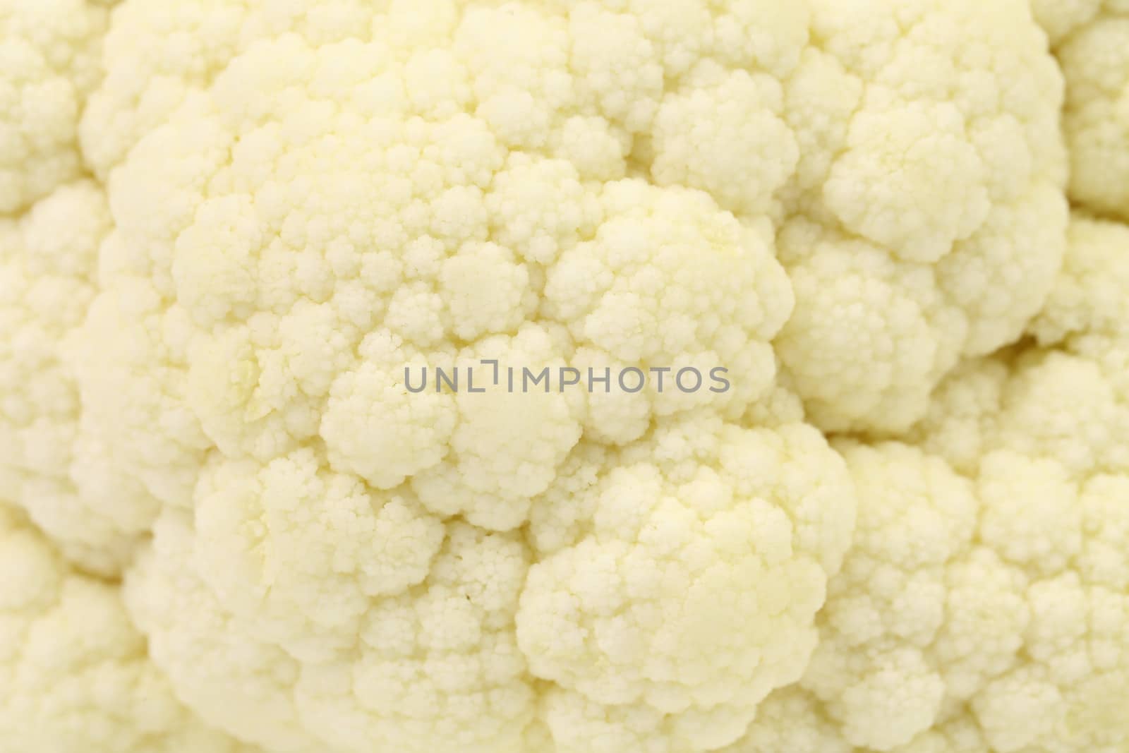 Background of cauliflower. Close up. Macro. Whole background.
