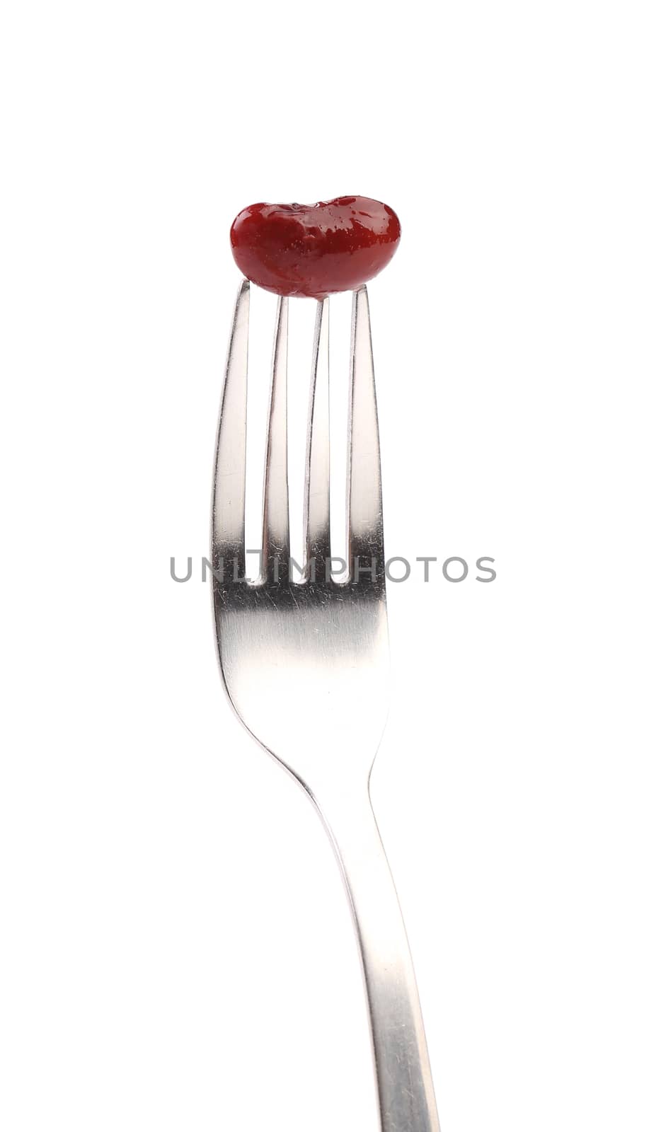 Single canned bean on fork. White background.