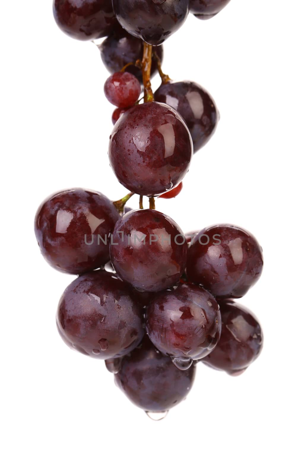 Red grape. Isolated on a white background.
