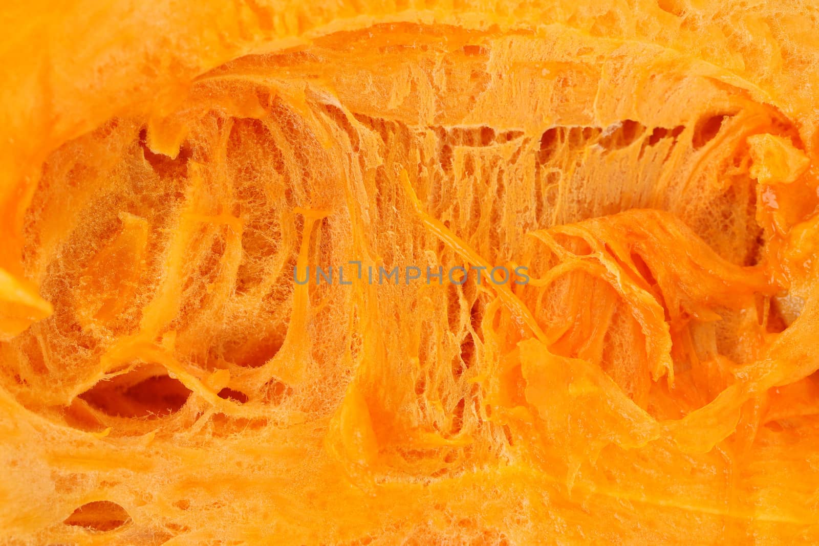 Background of pumpkin slice. Macro. White background.
