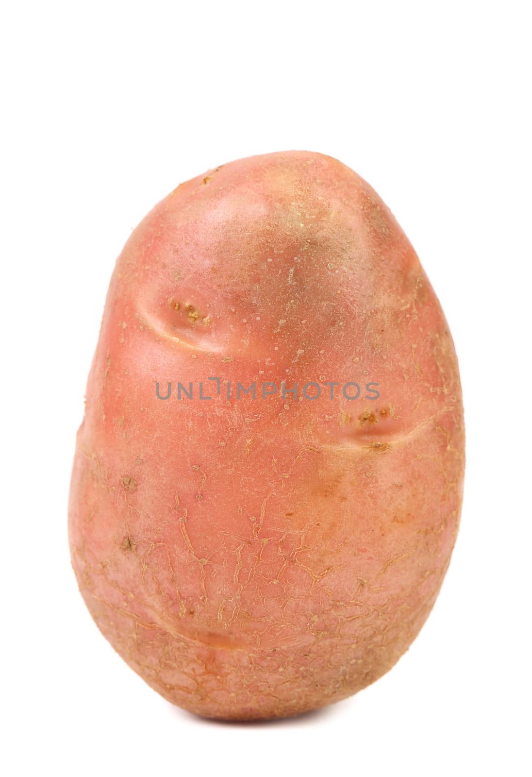 Red potato isolated on a white background