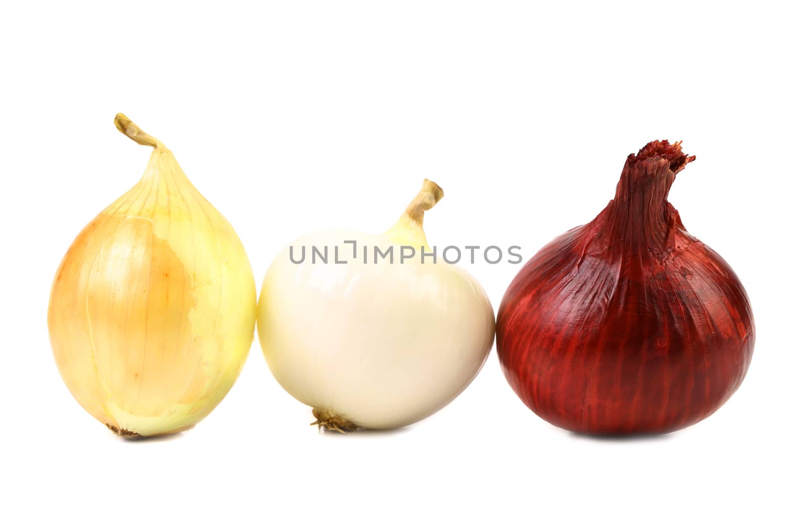 Red white gold onion bulbs isolated on a white background