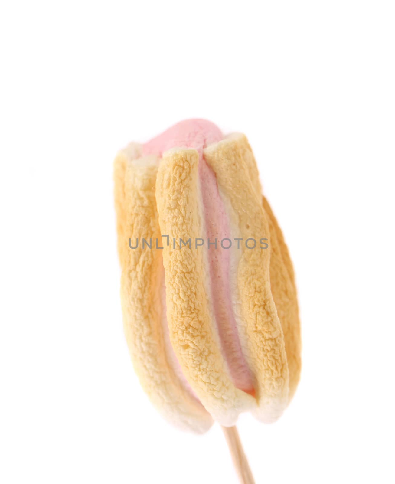 Roasted Marshmallows. Isolated on a white background.