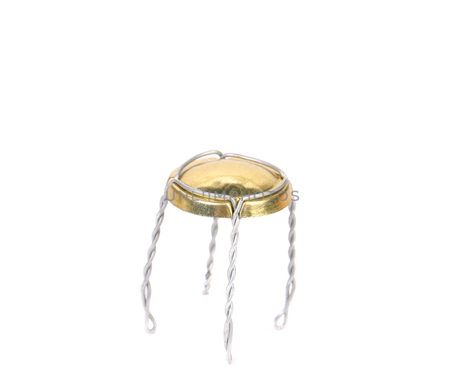 Champagne muzzle isolated on a white background