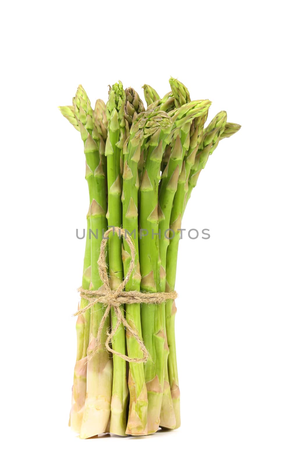 Bunch Asparagus isolated on the white background