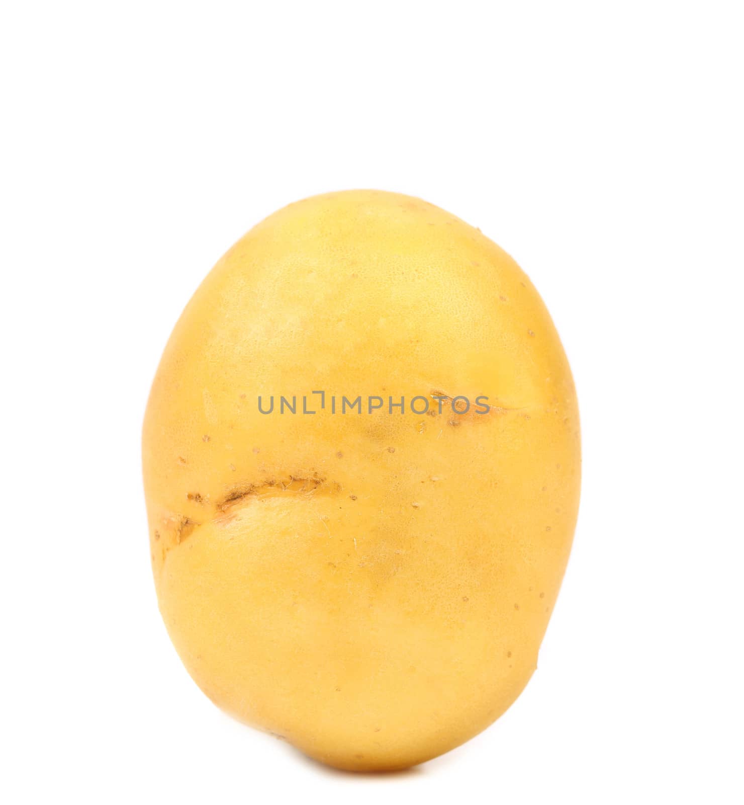 potato isolated on a white background close up