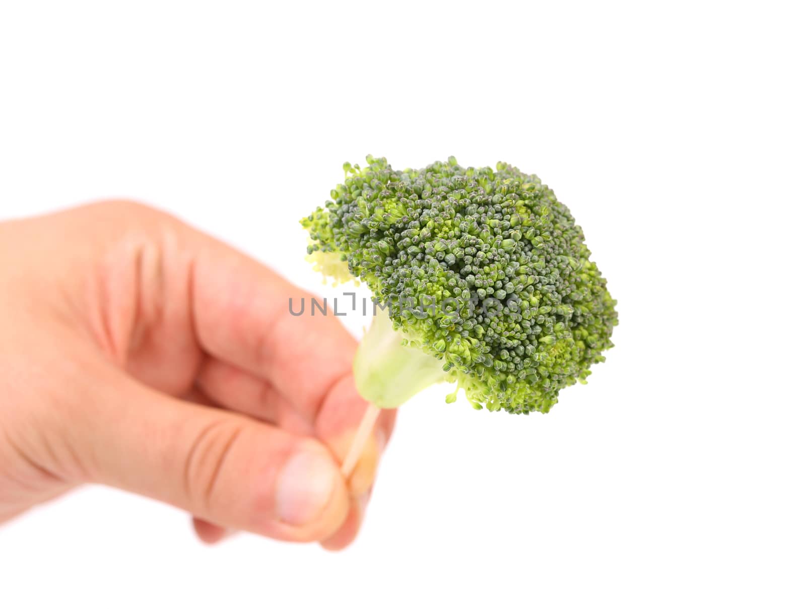 Hand holds broccoli floret on a toothpick. Close up.