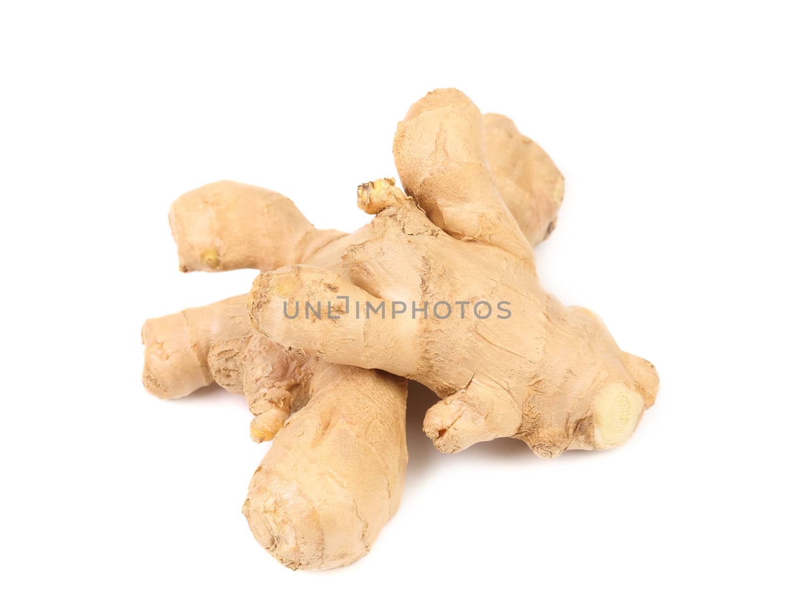 Root ginger isolated on a white studio background.