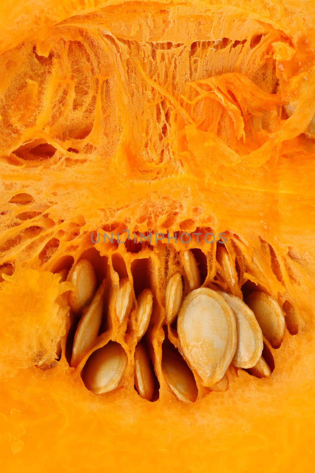 Background of pumpkin slice. Macro. Whole background.