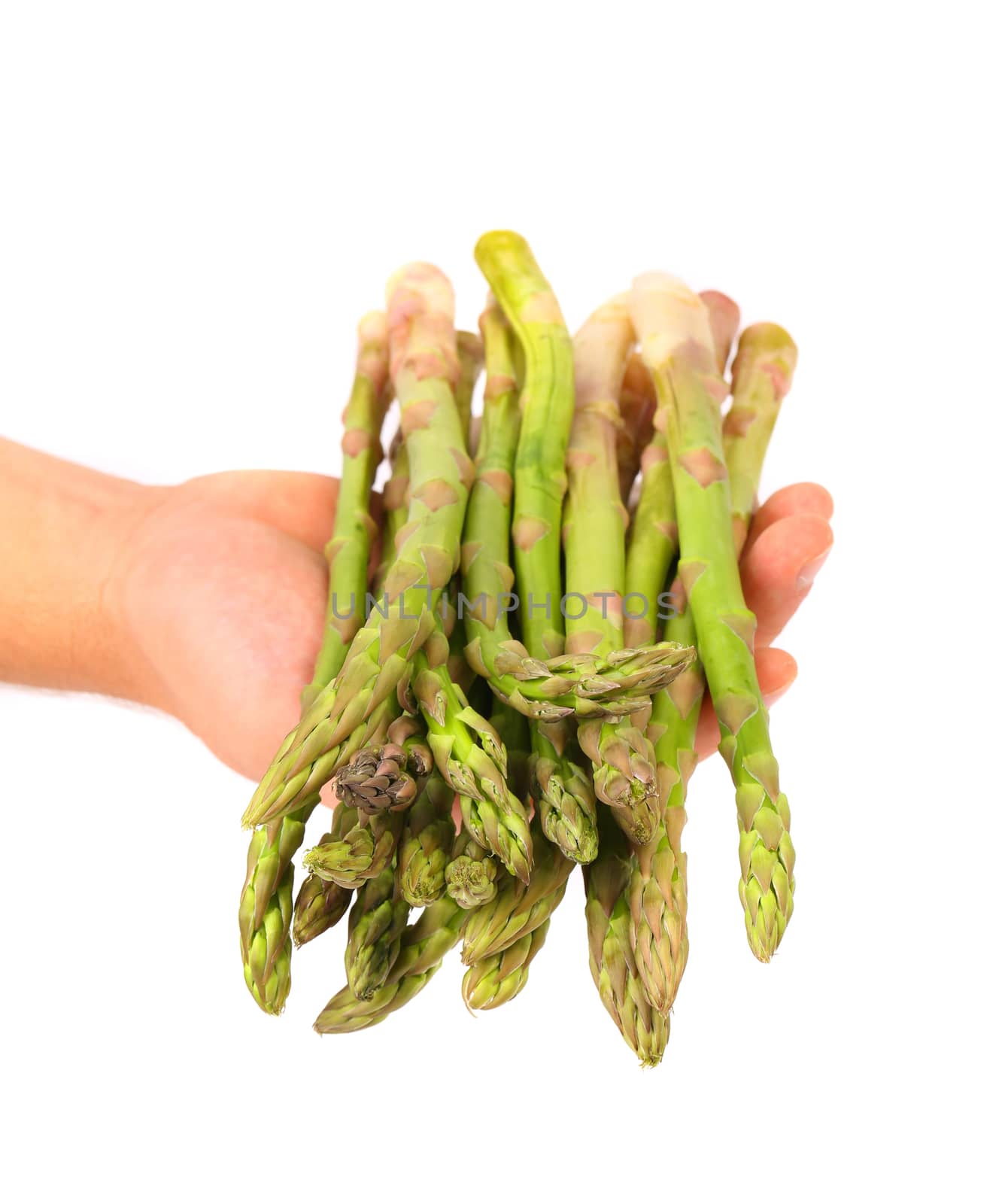 Fresh green asparagus on hand. White background.