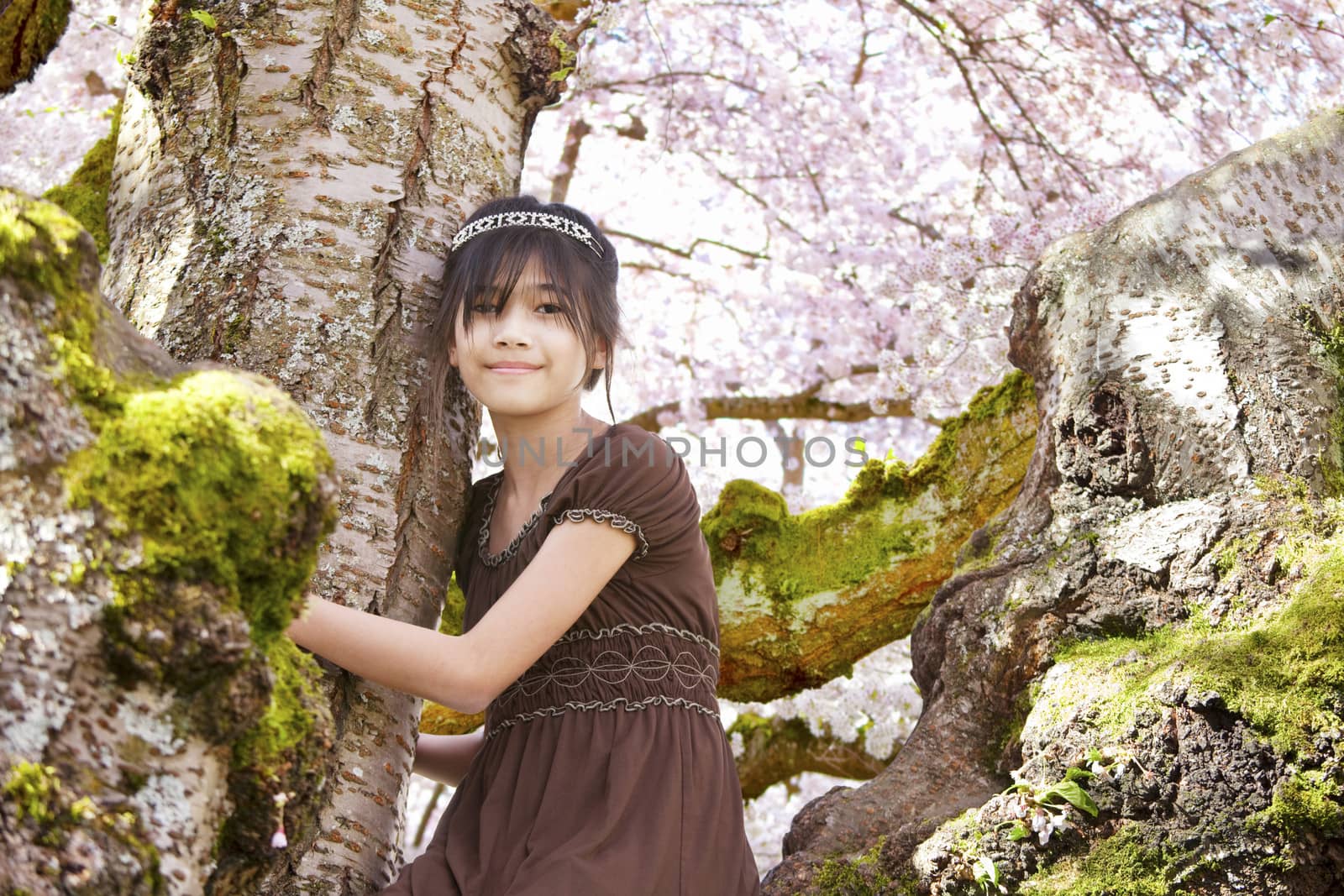 Young biracial girl sitting on moss covered branches of large flowering cherry tree