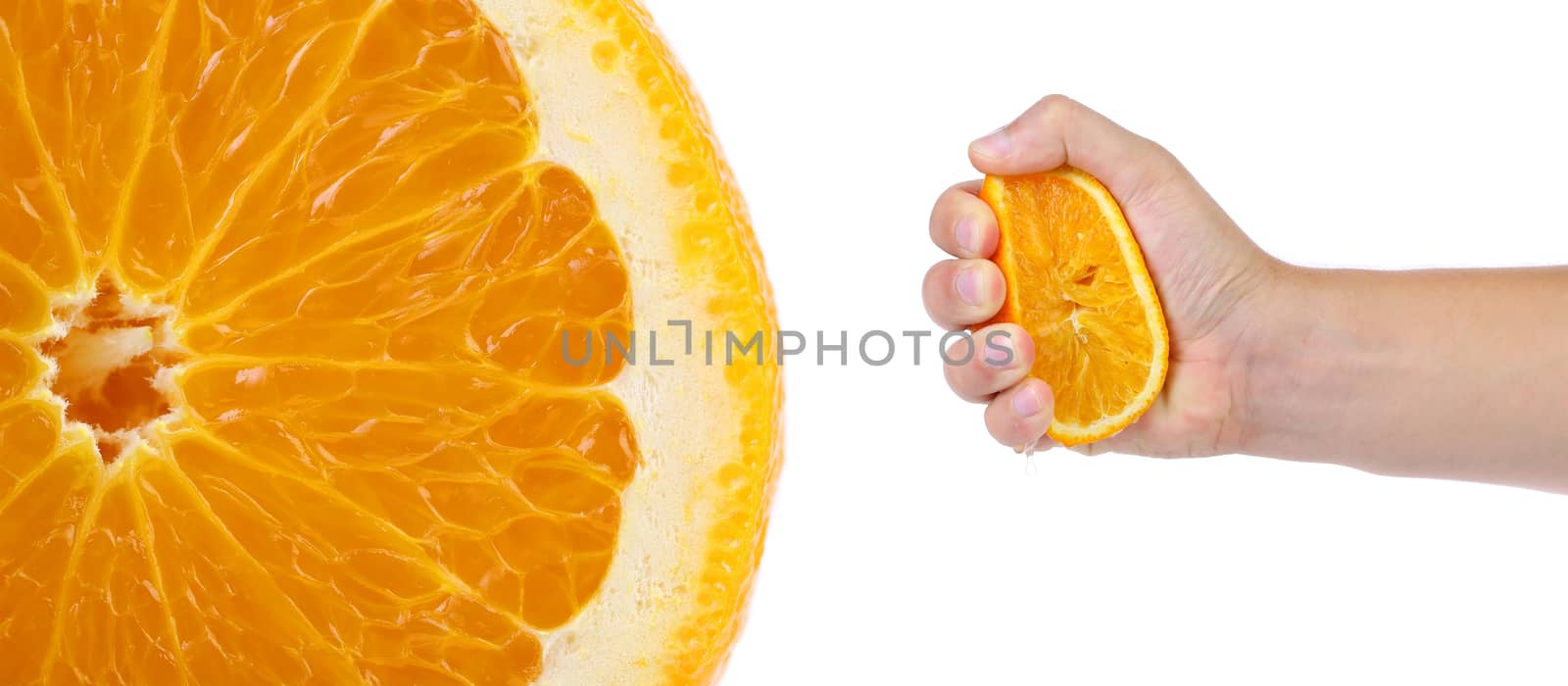 Hand press orange and macro slice. by indigolotos