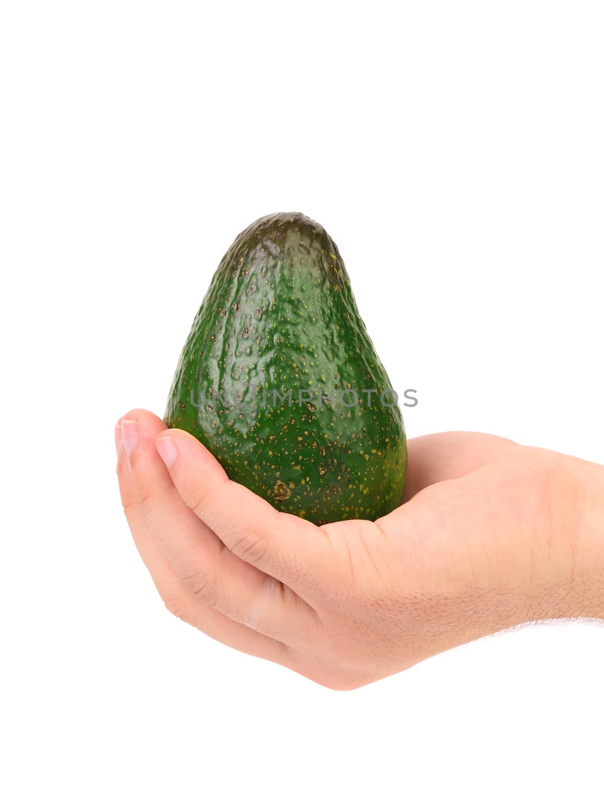 Hand holds fresh avocado. Isolated on a white background.