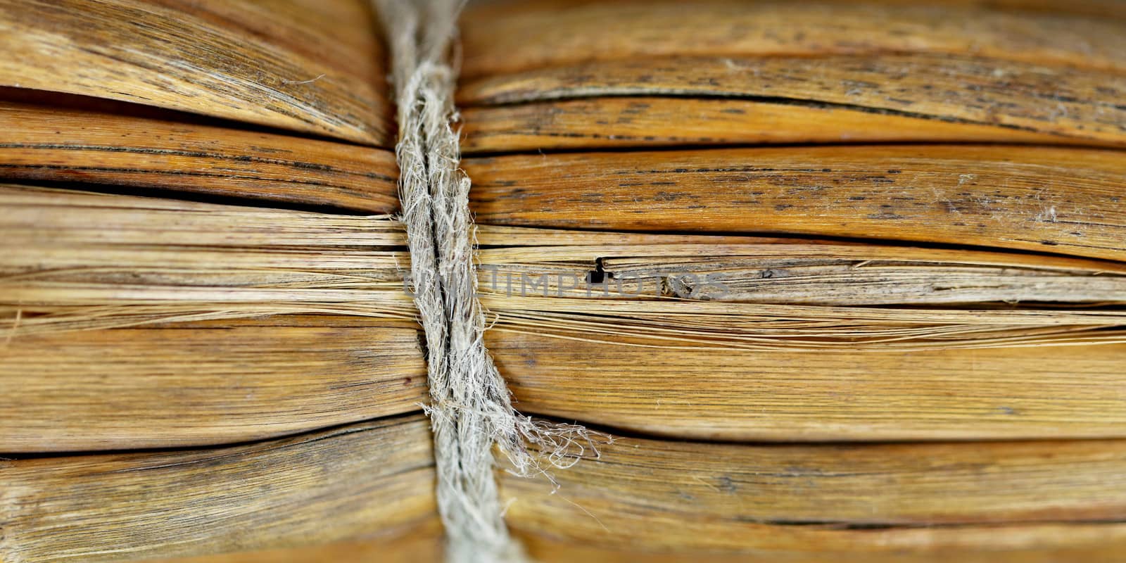 Close up detail of a broom texture. Grunge texture of dry grasson.