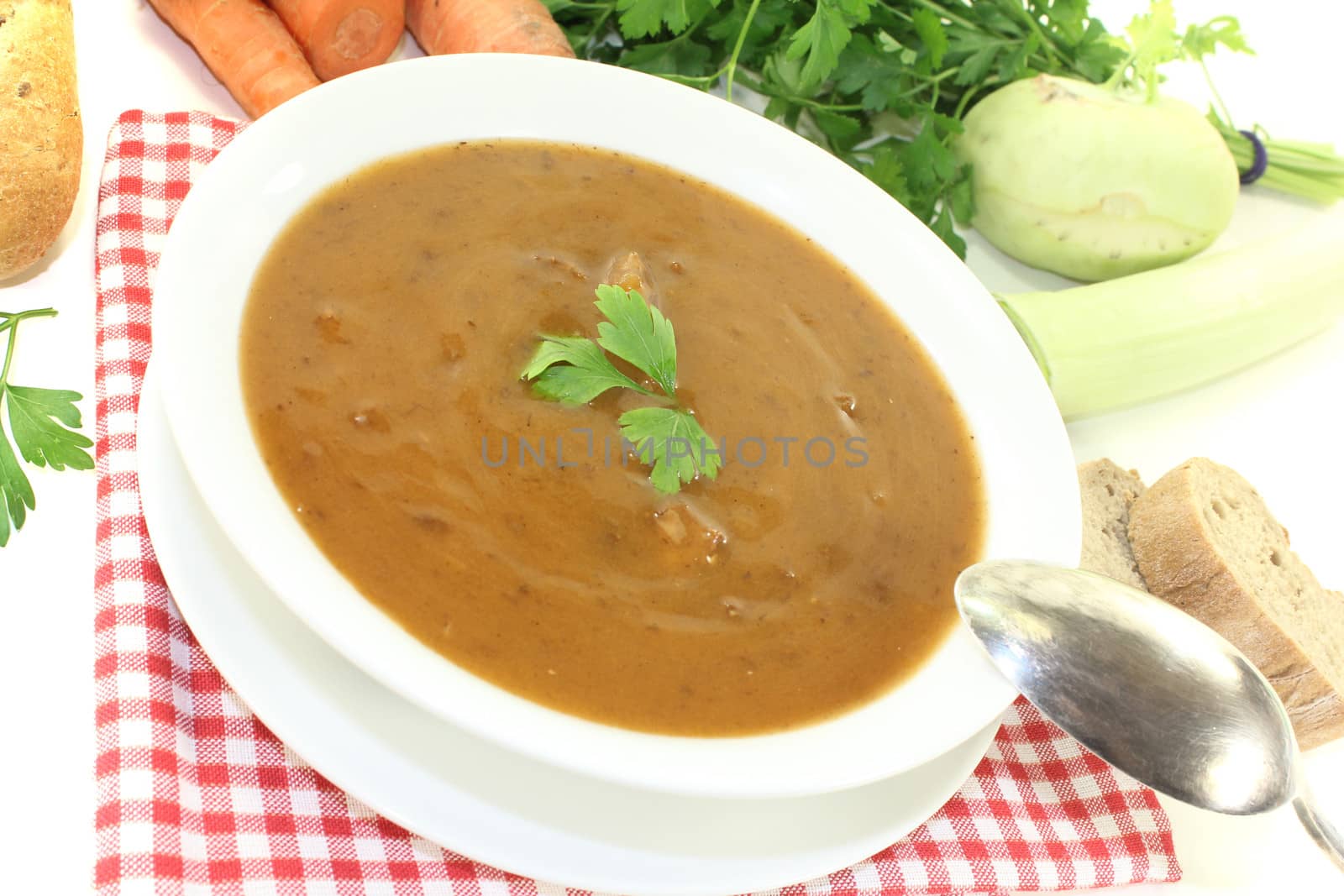 Oxtail soup with beef on a light background