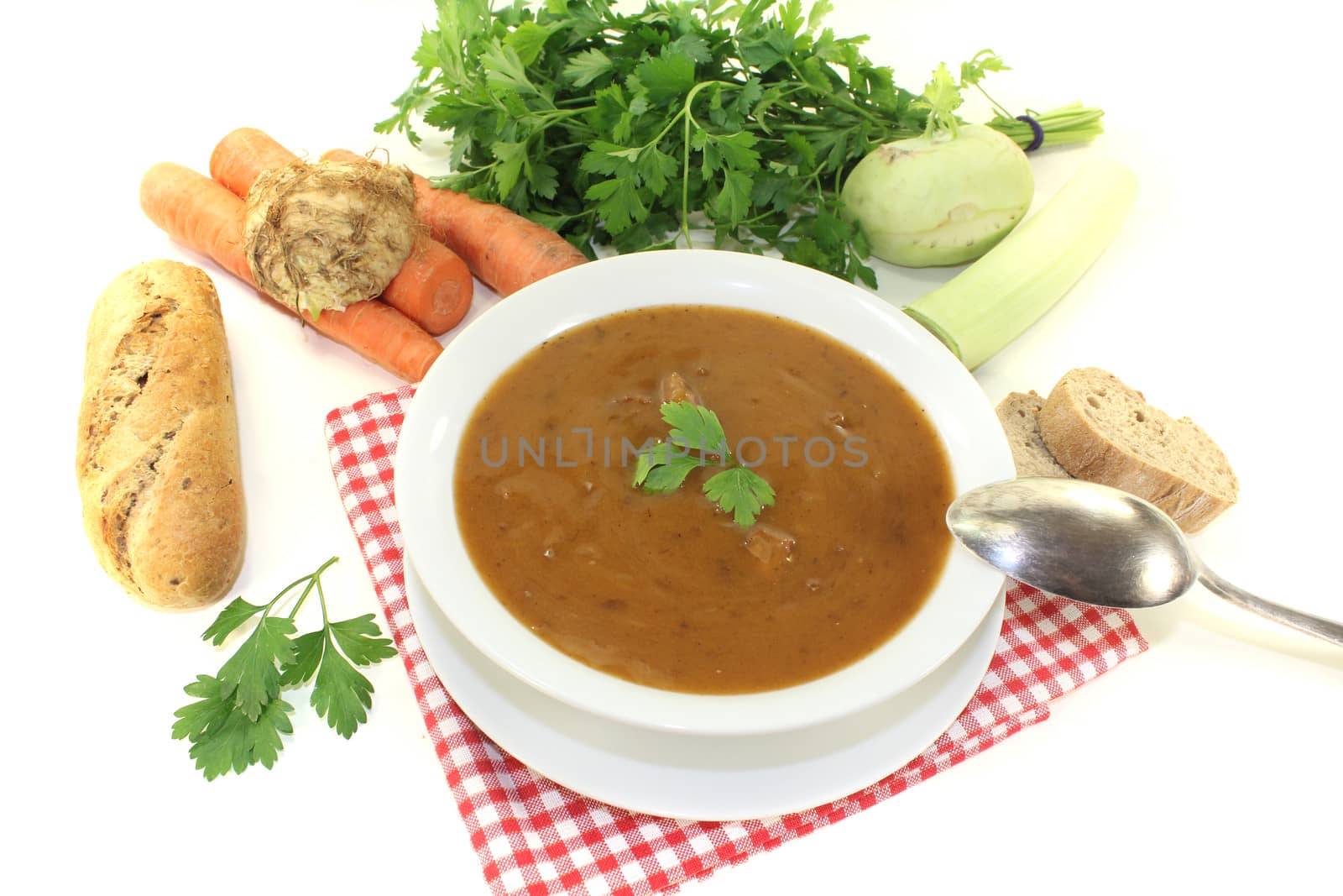 Oxtail soup with parsley and beef on a bright background