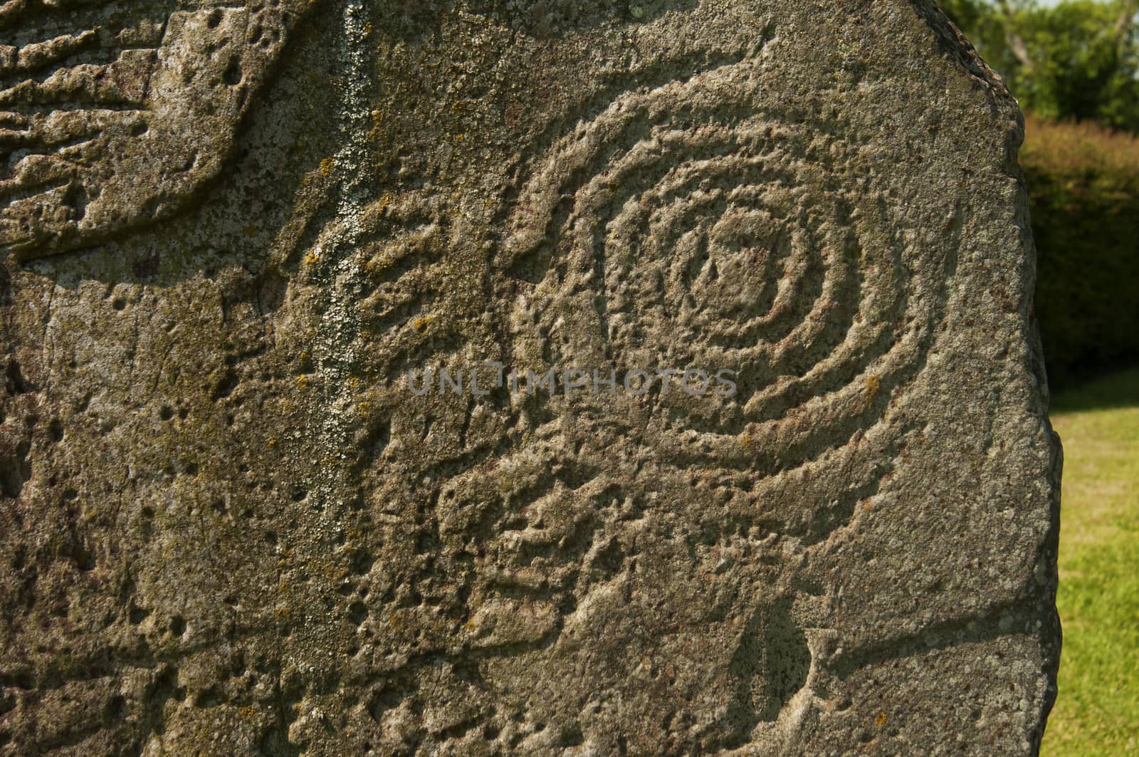 Symbol at Newgrange, Ireland by rodrigobellizzi