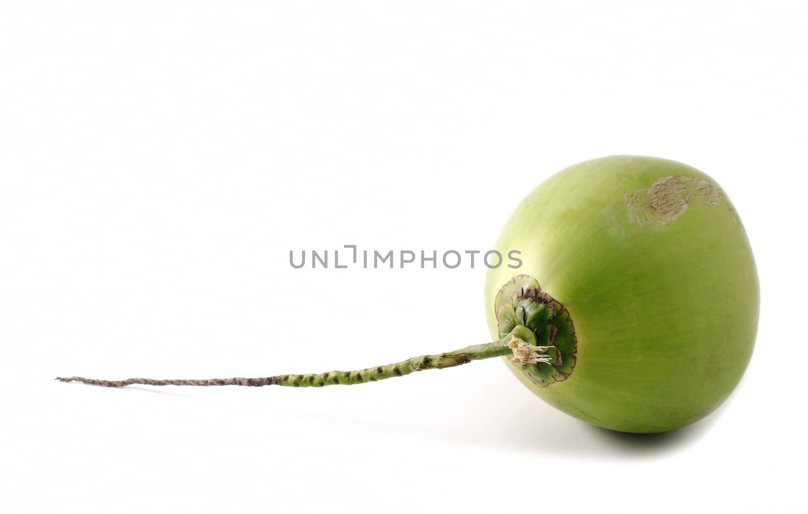 Coconut isolated on white background