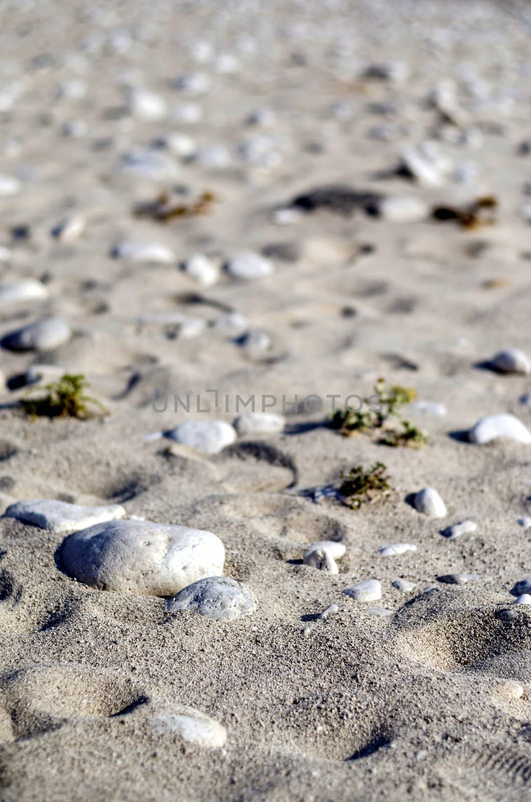 Array of pebbles on a sandy beach.