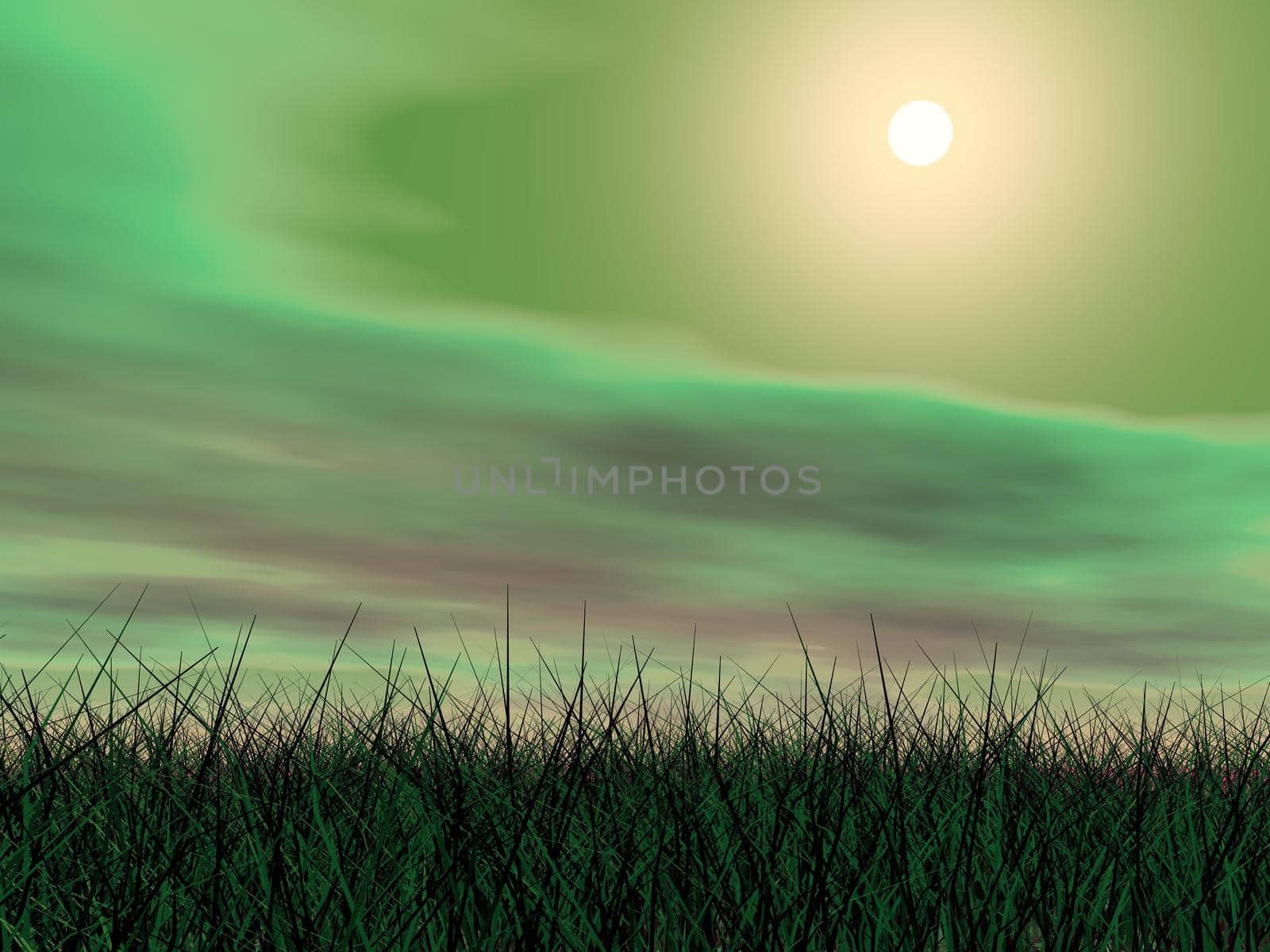 Green sunset - 3D render by Elenaphotos21