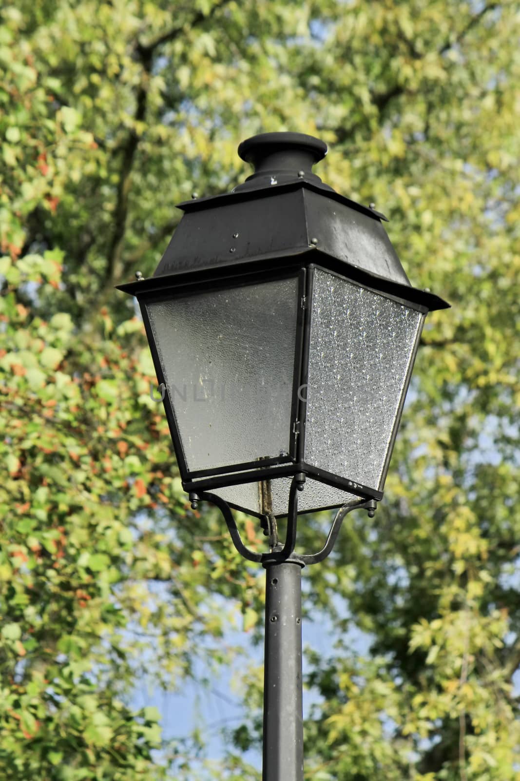 Close up on an old streetlamp and tree background