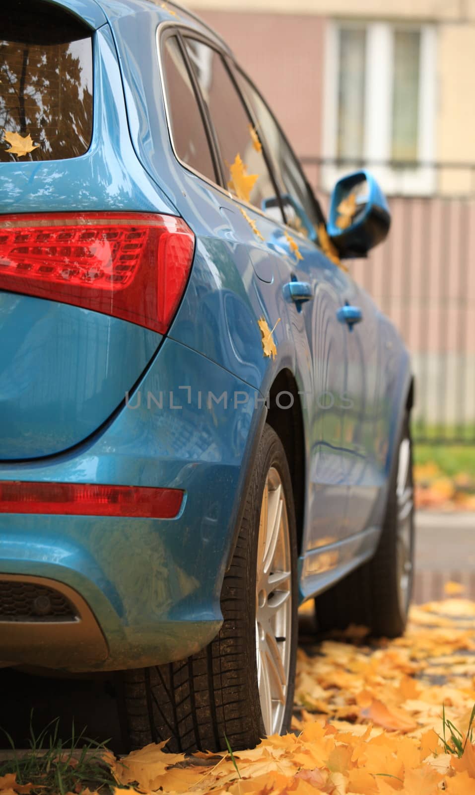 passenger car in the rear view of yellow leaves