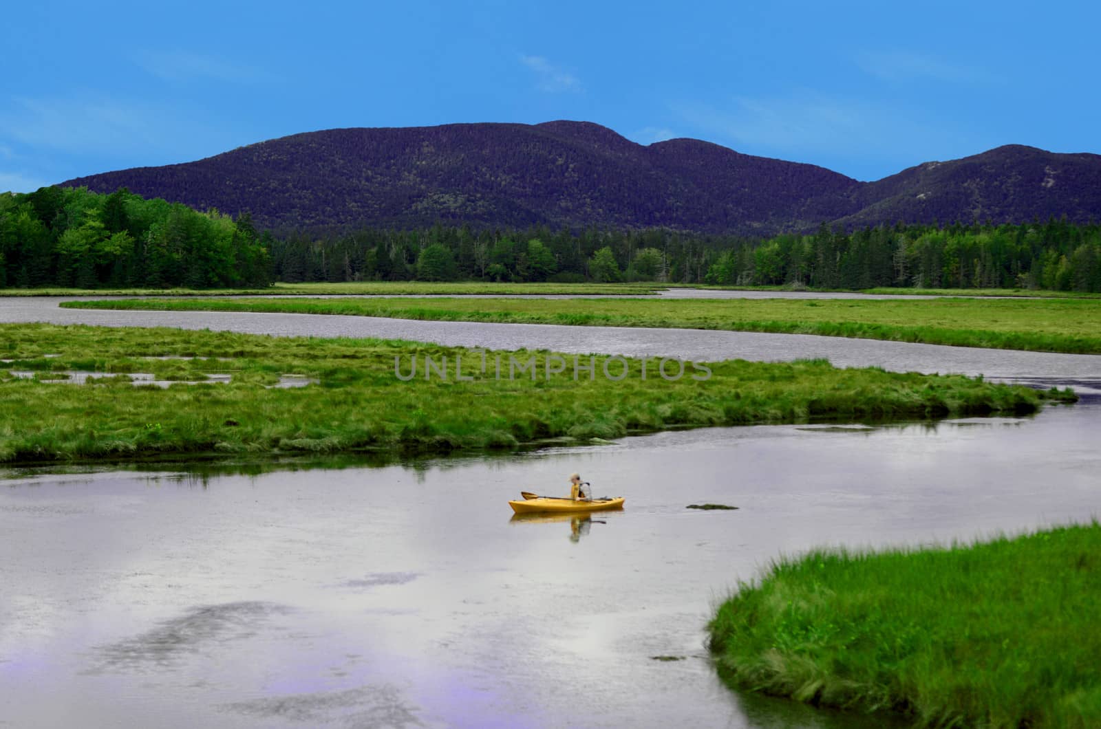 kayaking in summer landscape in northeast in unspoiled nature