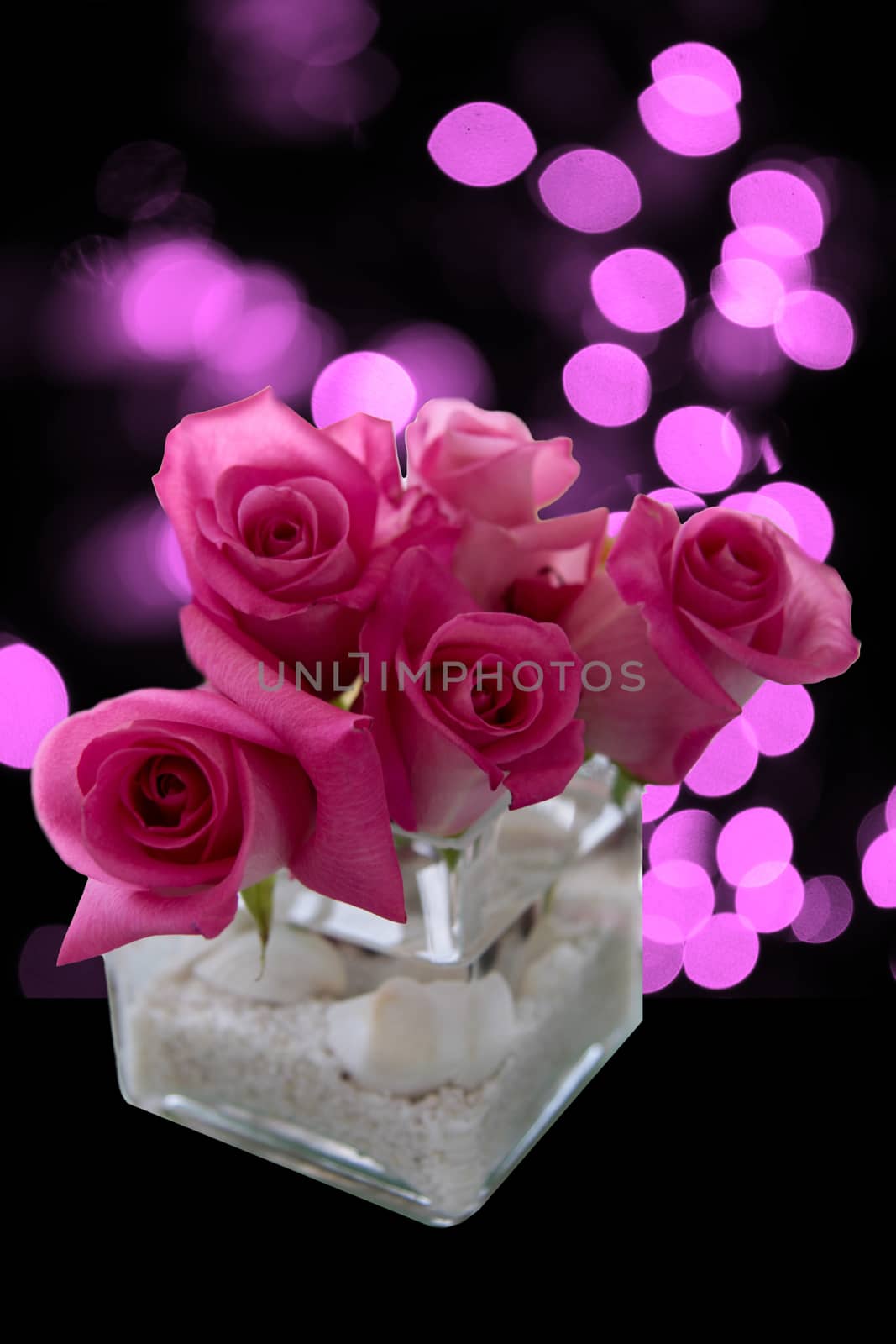 pink roses flower arrangement in vase with abstract pink lights in background
