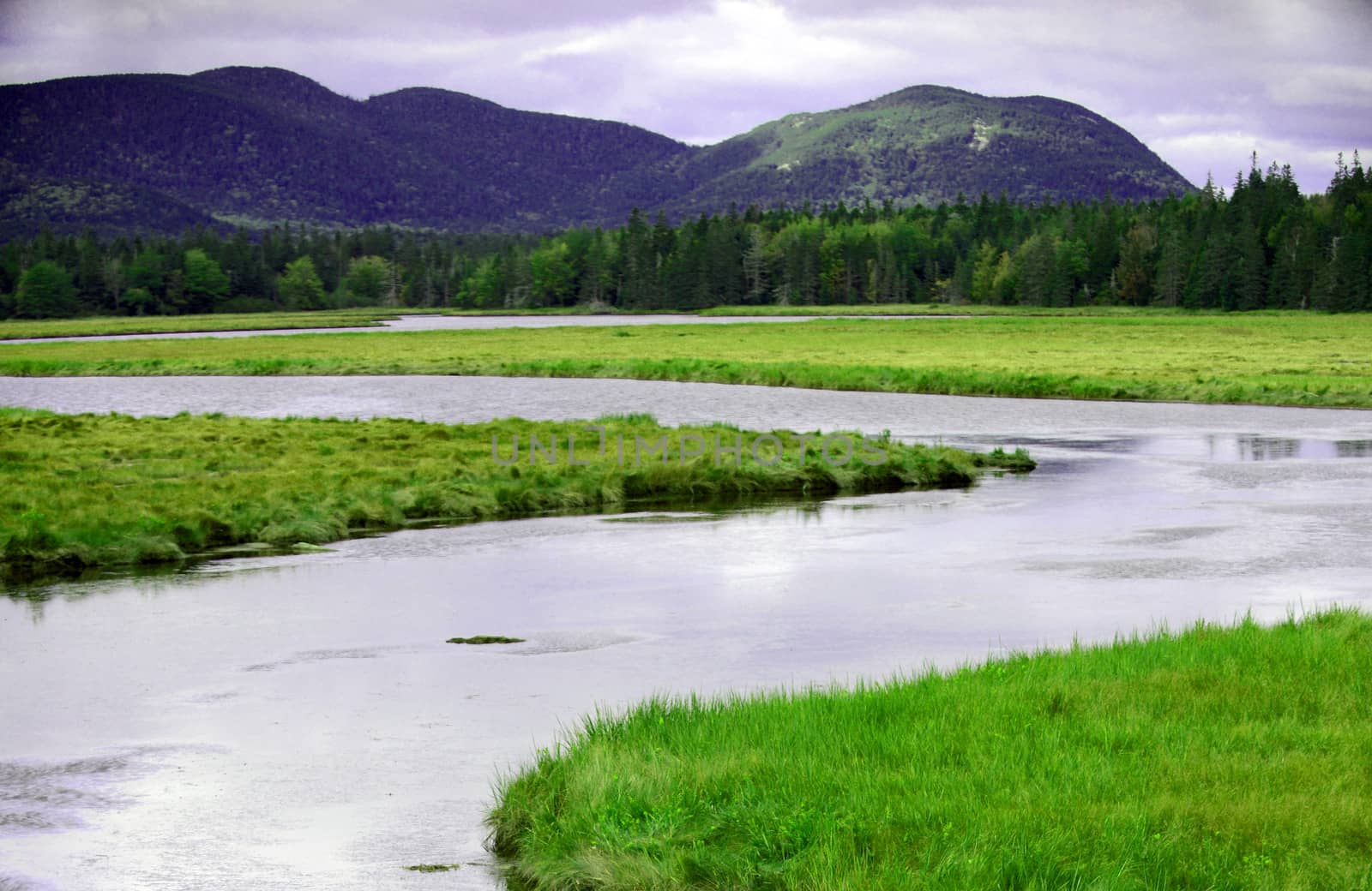 summer landscape in Acadia National Park in maine with mountains and river