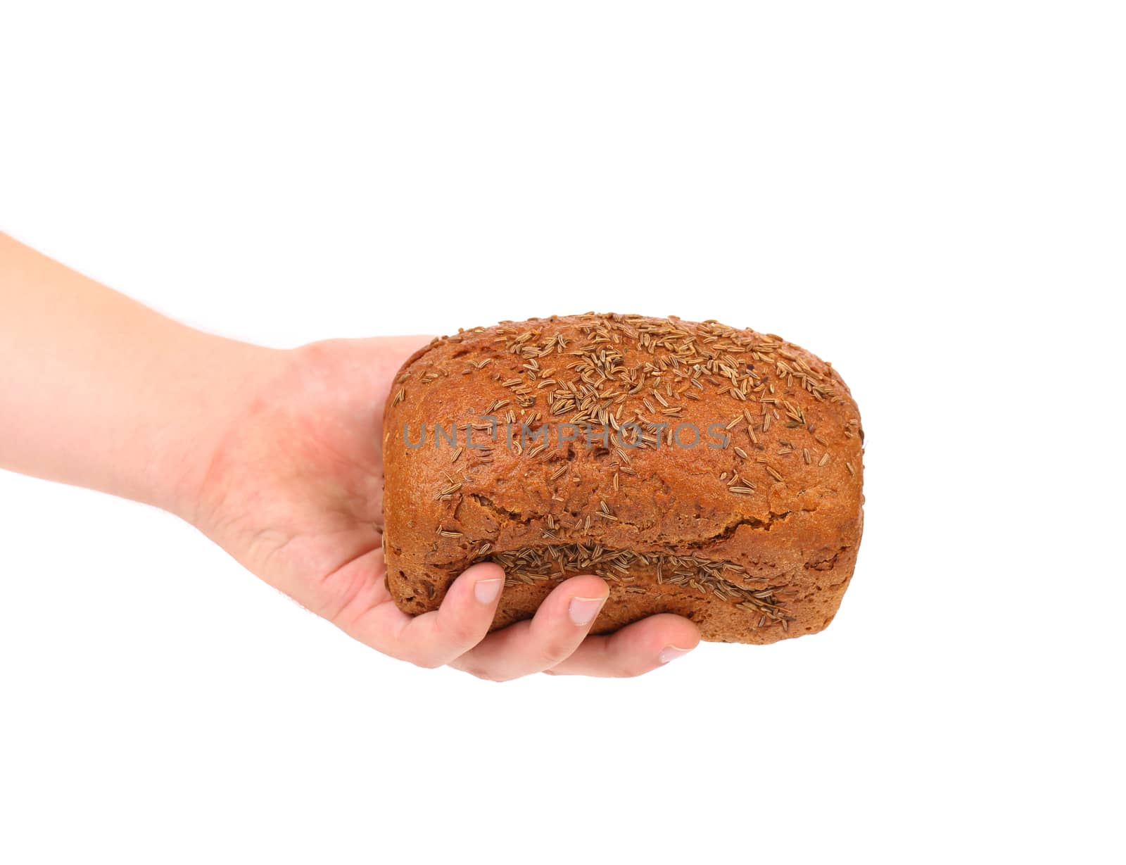 Hand holds rye bread with caraway seed. White background.