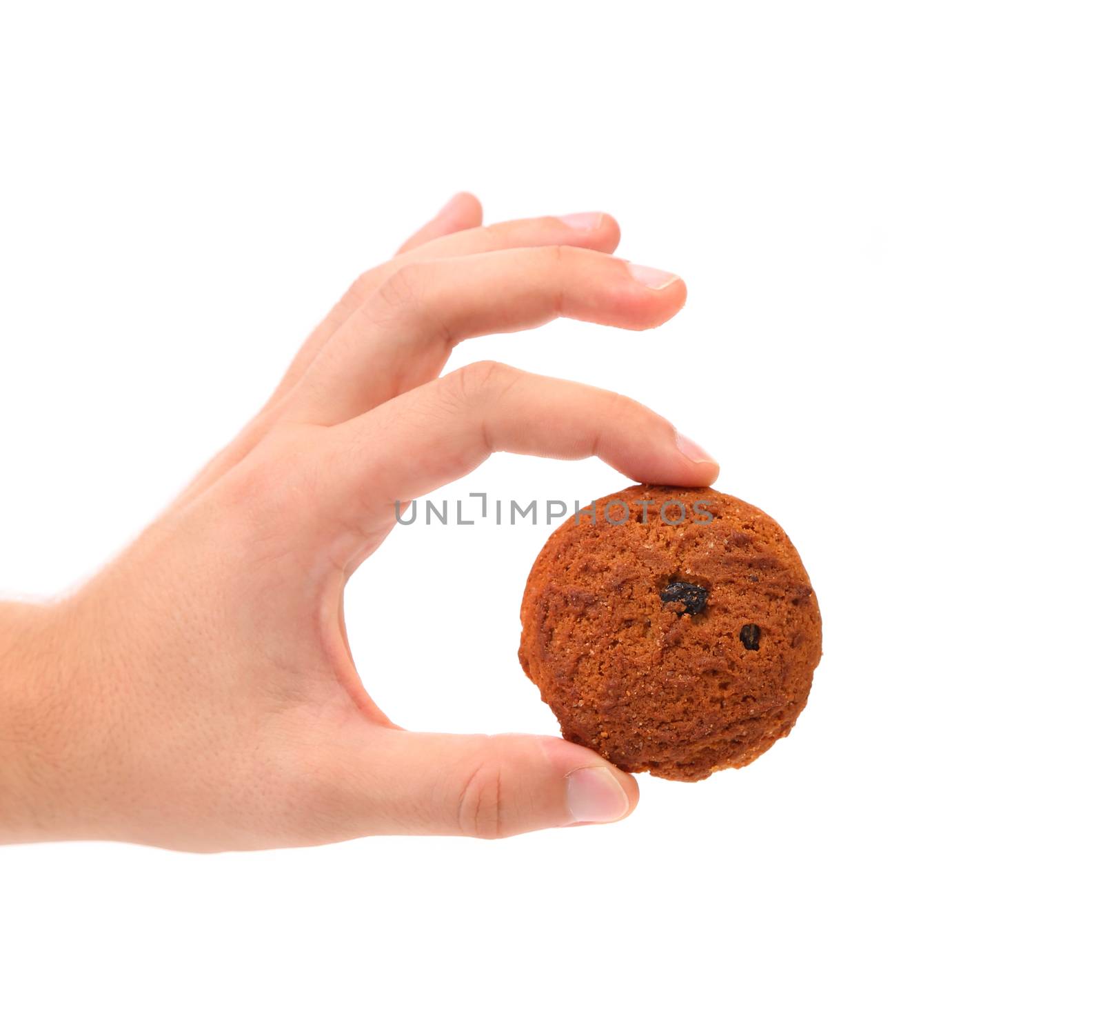 Hand holds oatmeal raisin cookie. White background.