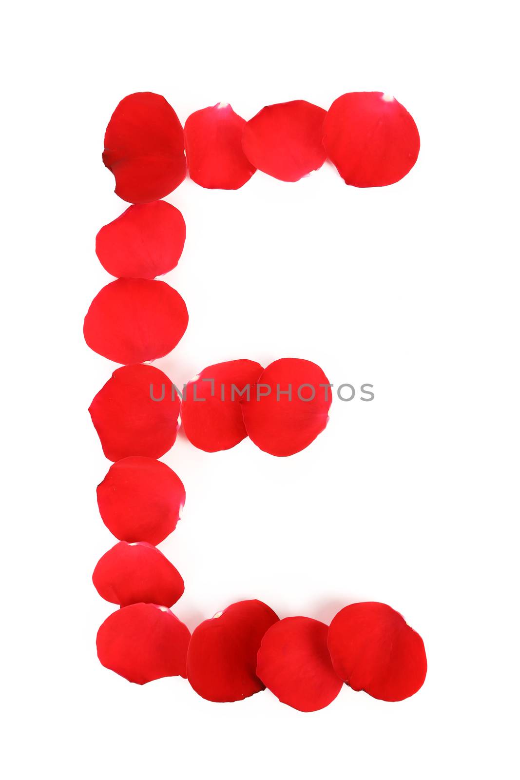 Letter E made ??of rose petals. Isolated on a white background.