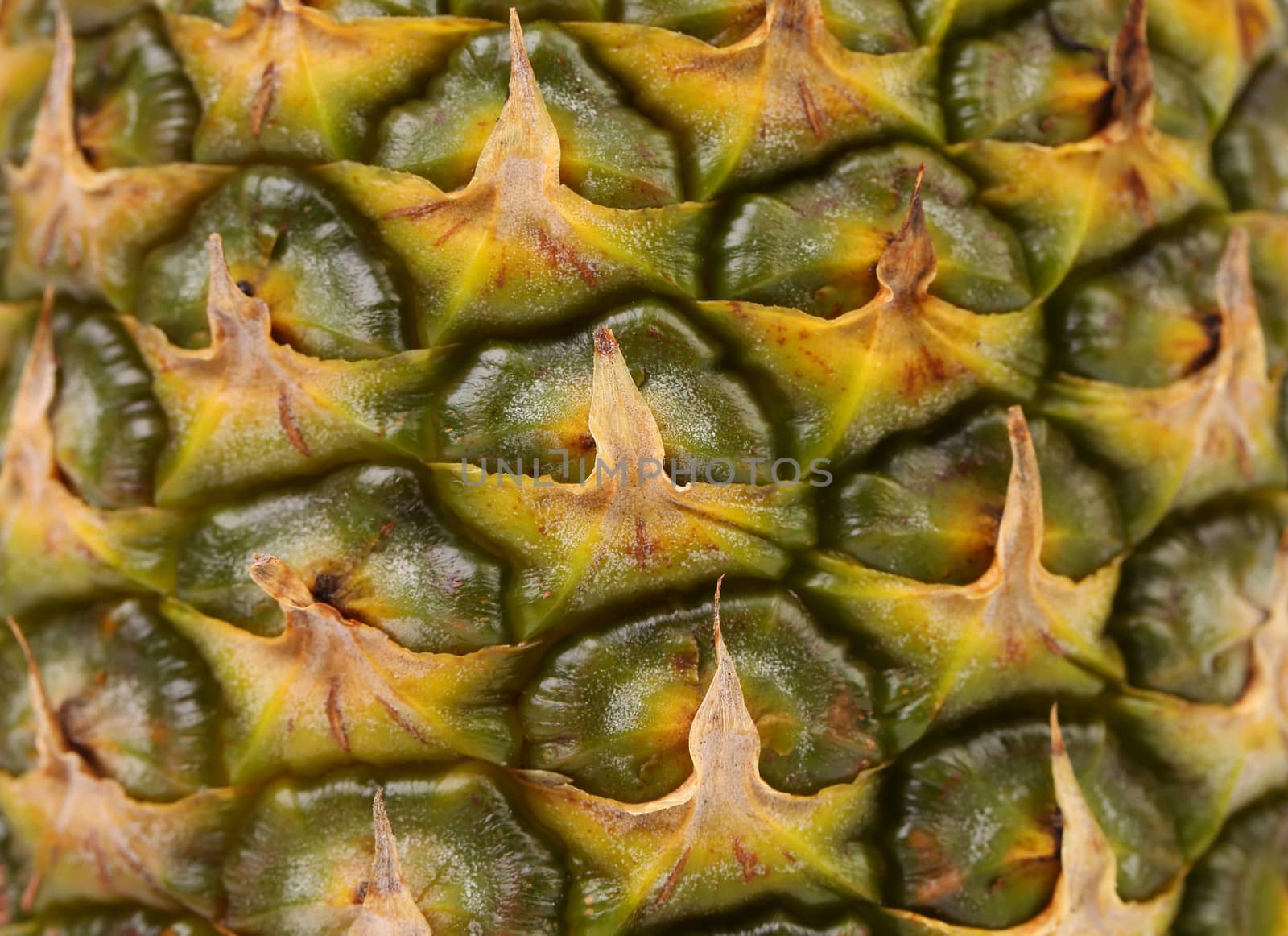 Background of pineapple fruit. Close up.  Texture.