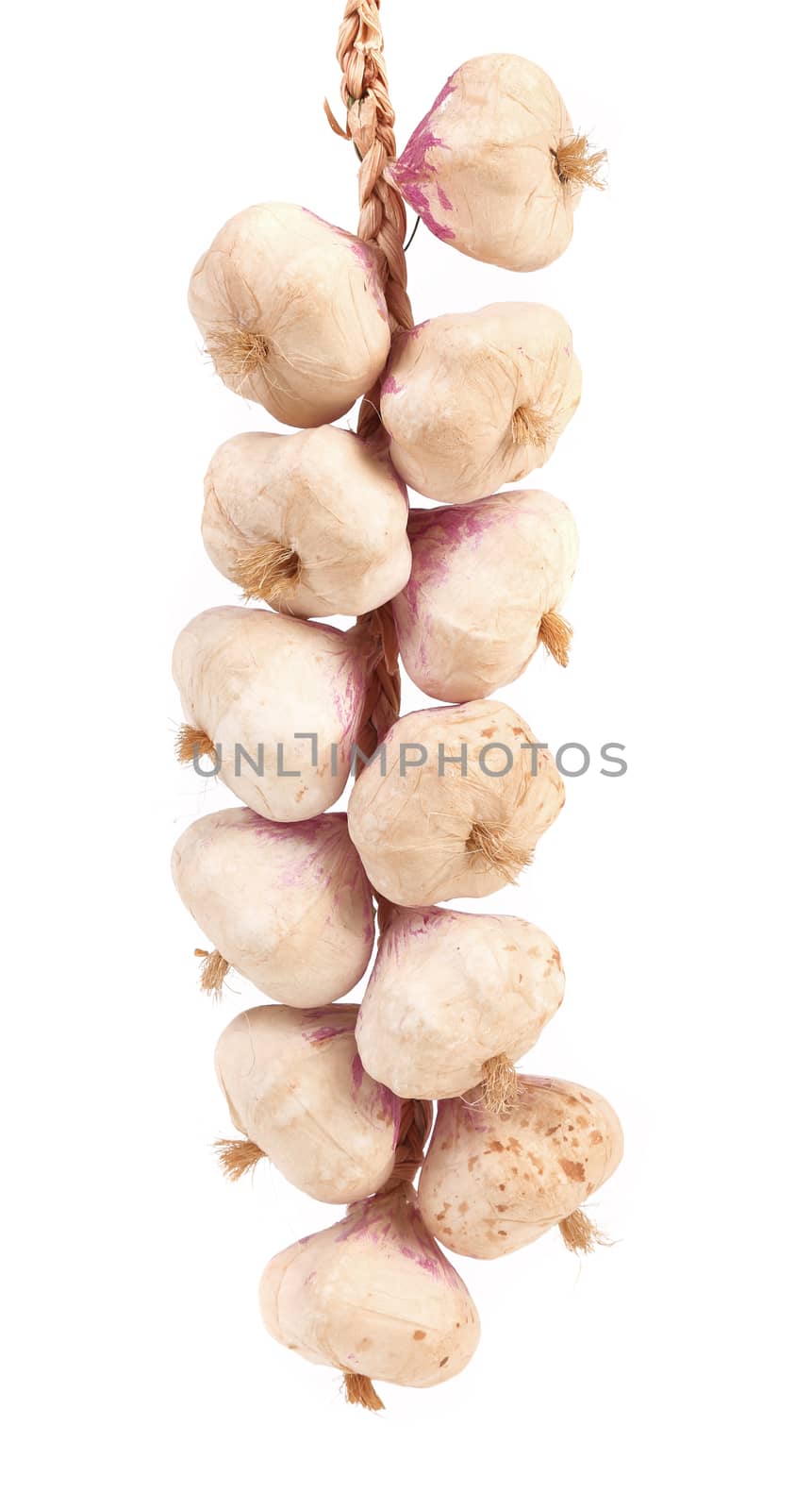 Plait of garlics. Isolated on a white background.