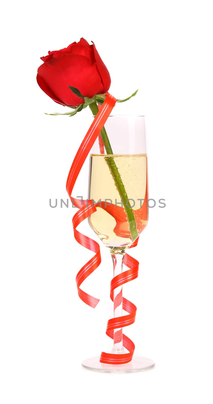 Red rose in glass of champagne and paper streamer. White background.