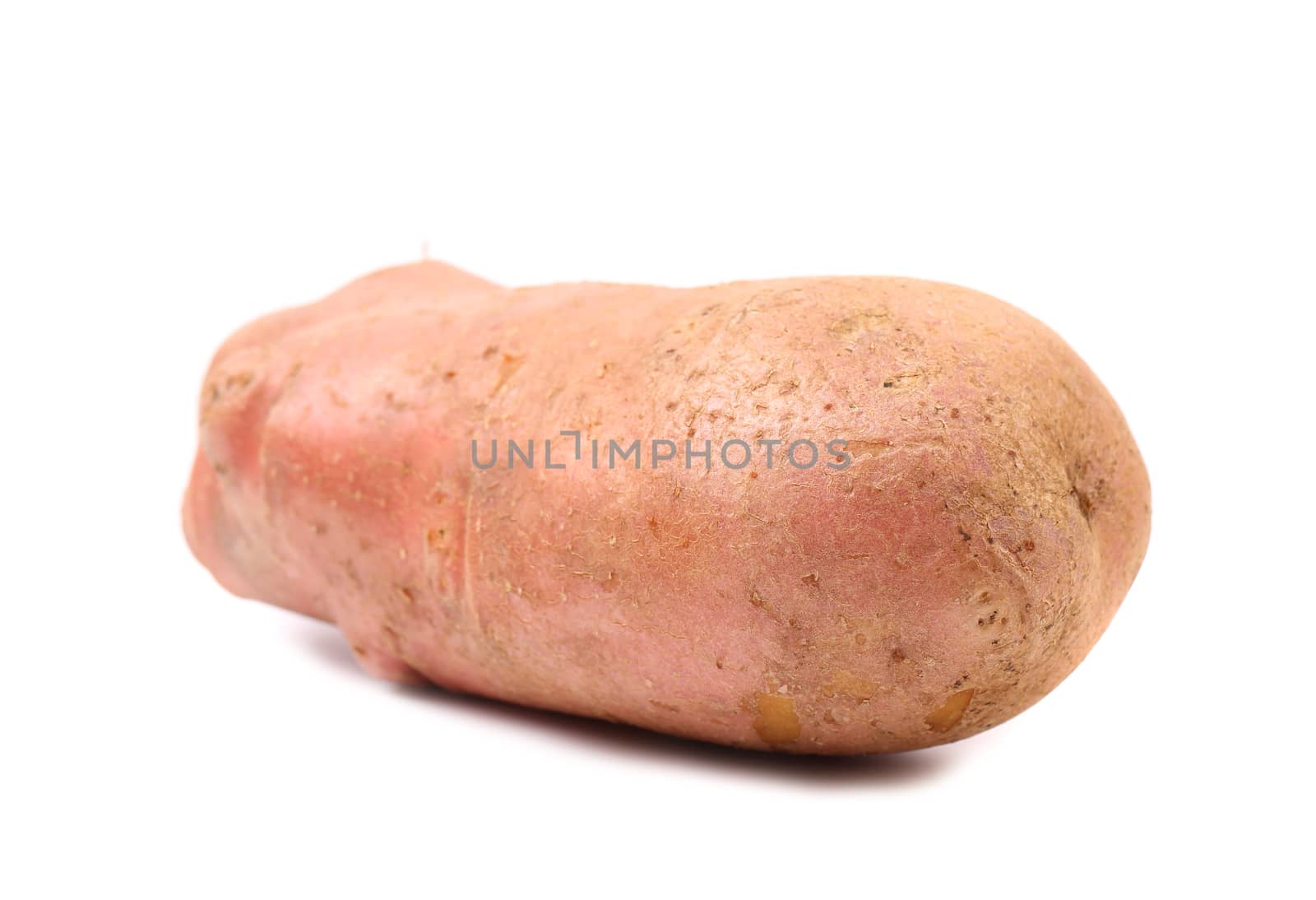 Red potatoe on a white background with clipping path