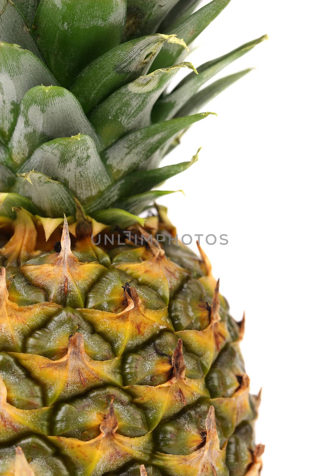 Quarter pineapple isolated on white background with copy-space for text