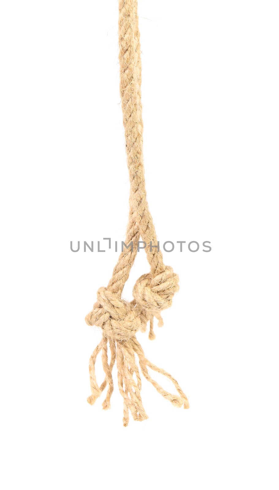 Knot on ropes. Isolated on a white background.