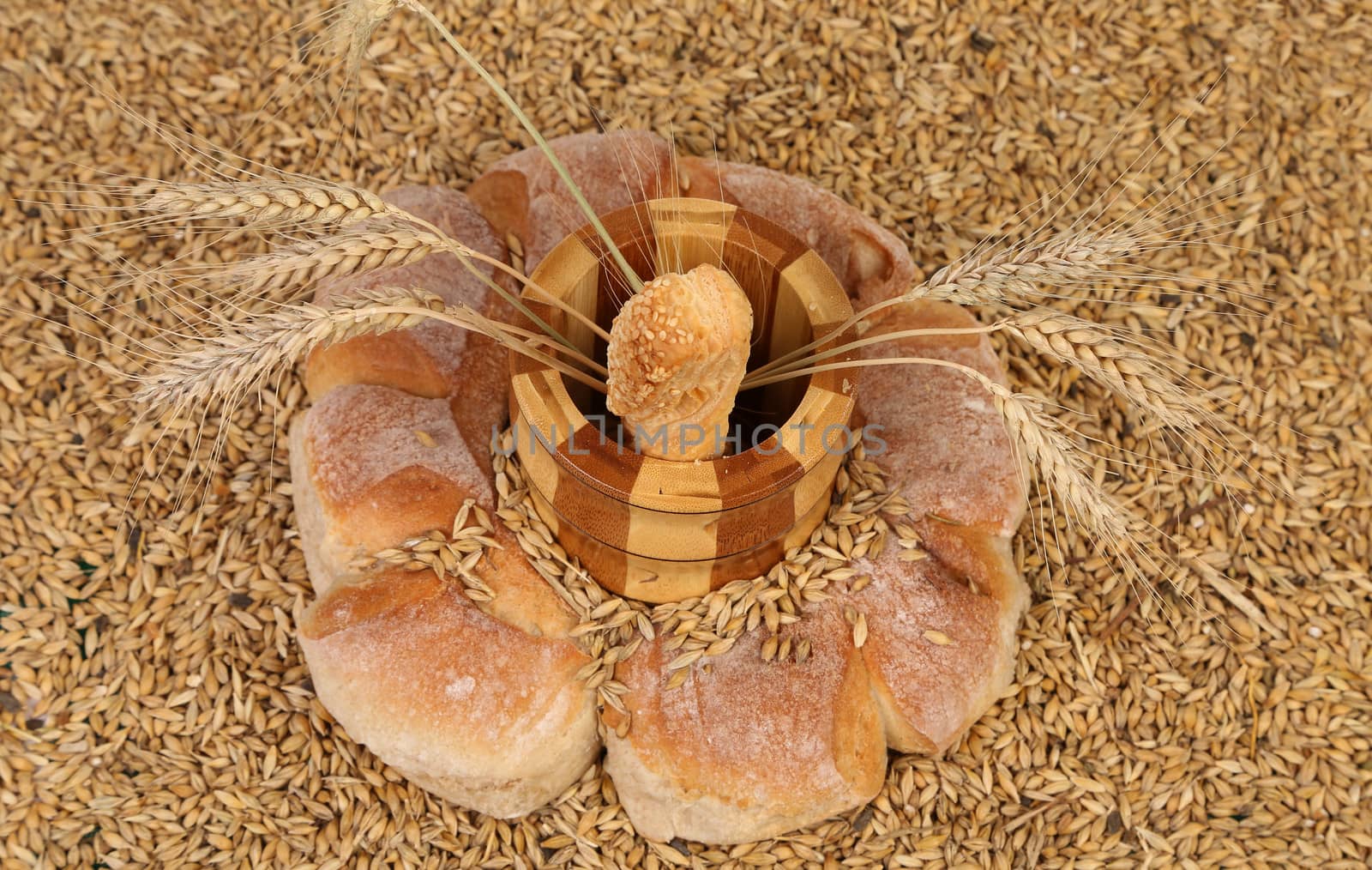 Bread composition on wheat grain. Close up.