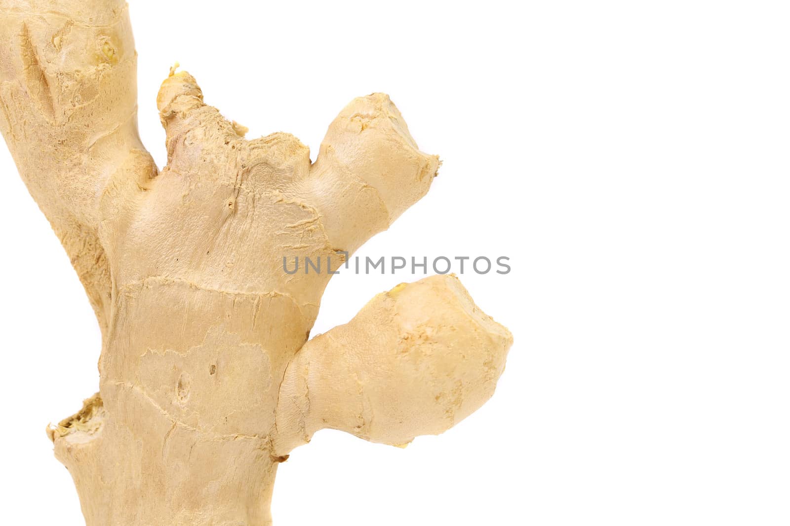 fresh ginger isolated on a white background