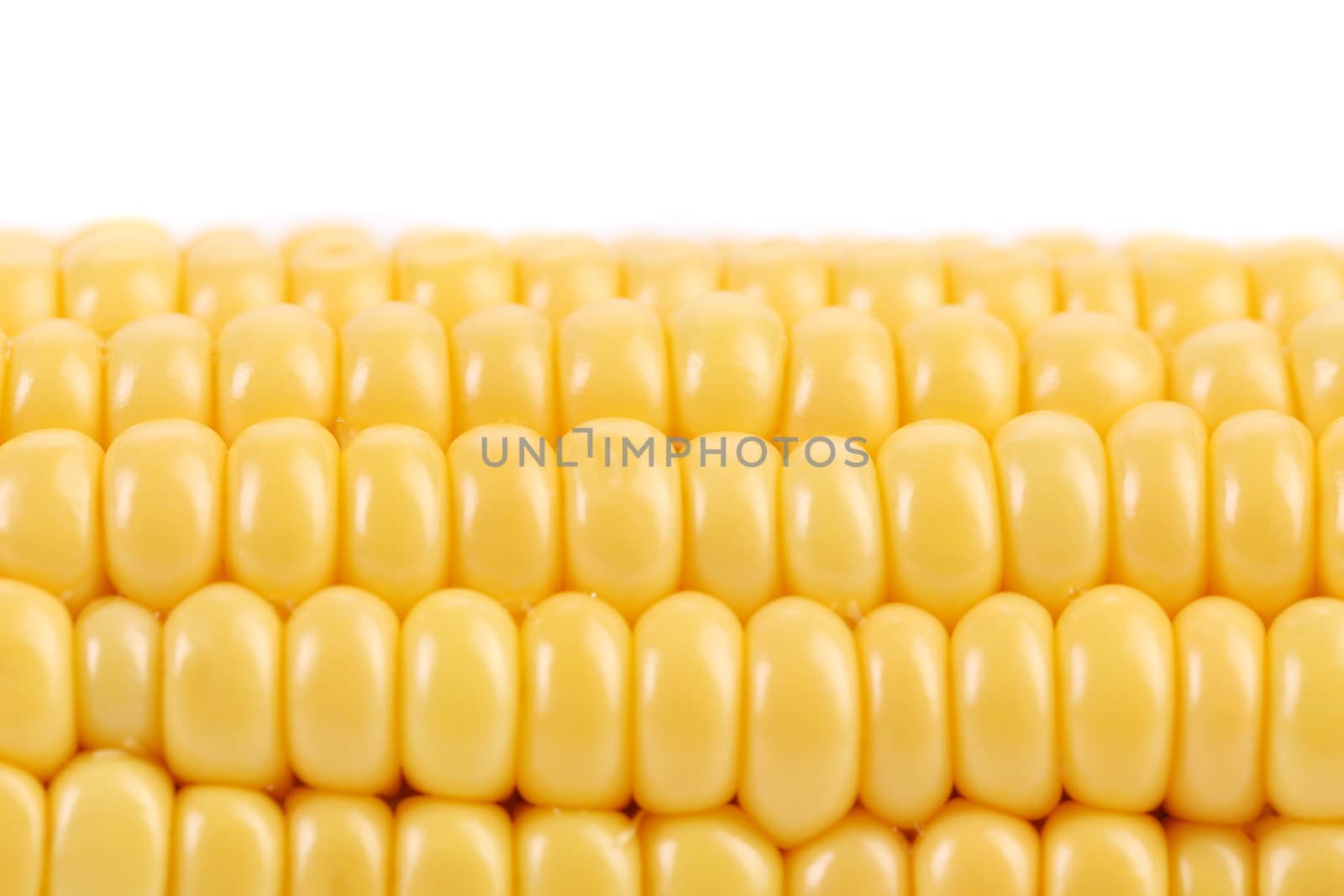 Tasty yellow ear of corn. Close up. There is space for text.