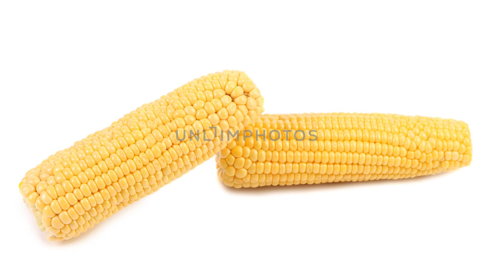 Two corncobs isolated on a white background