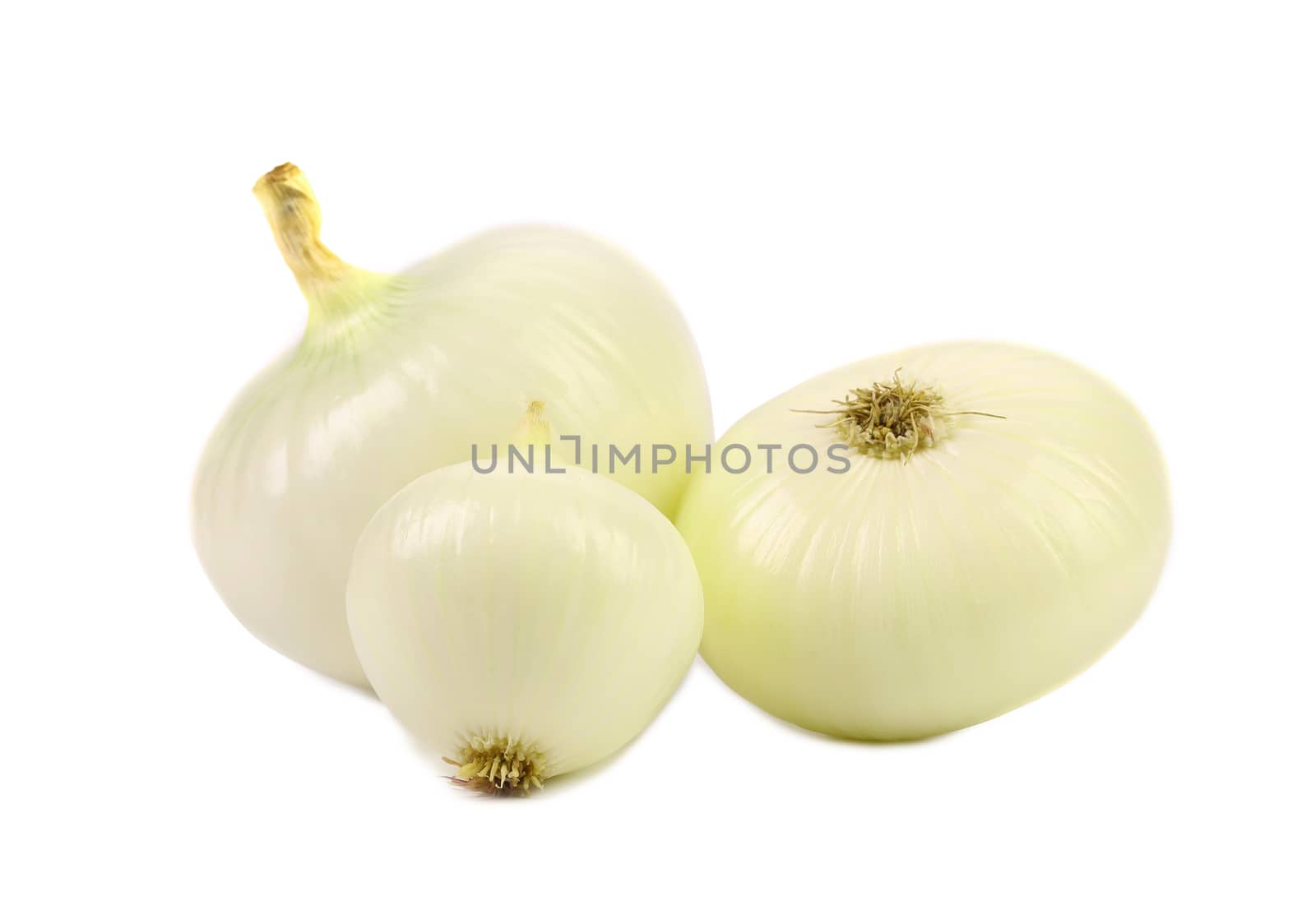 Peeled white onions. Isolated on a white background.