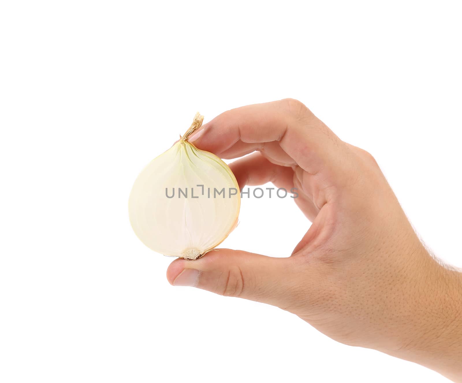 Hand holds half onion. Isolated on a white background.