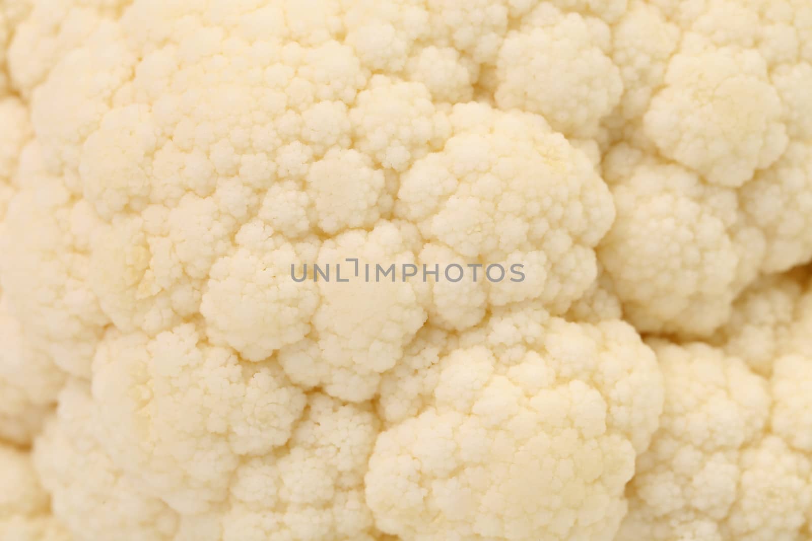 Background of cauliflower. Close up. Whole background.