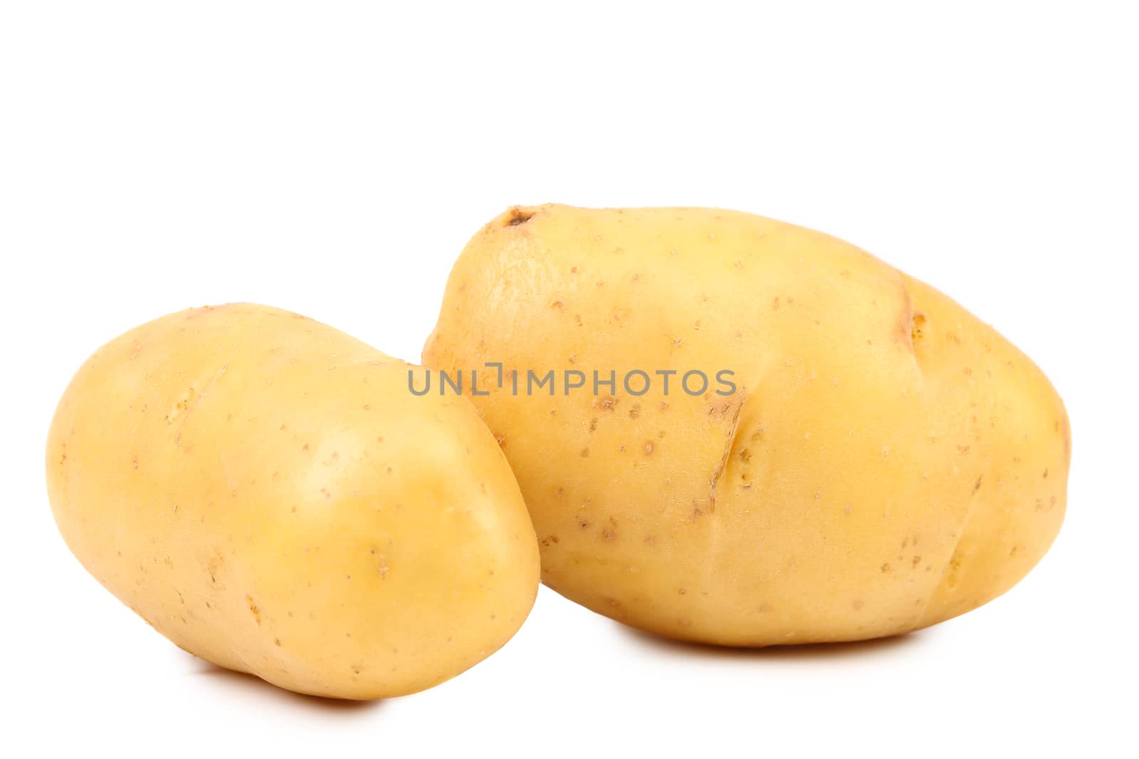Fresh potatoes. Isolated on a white background.